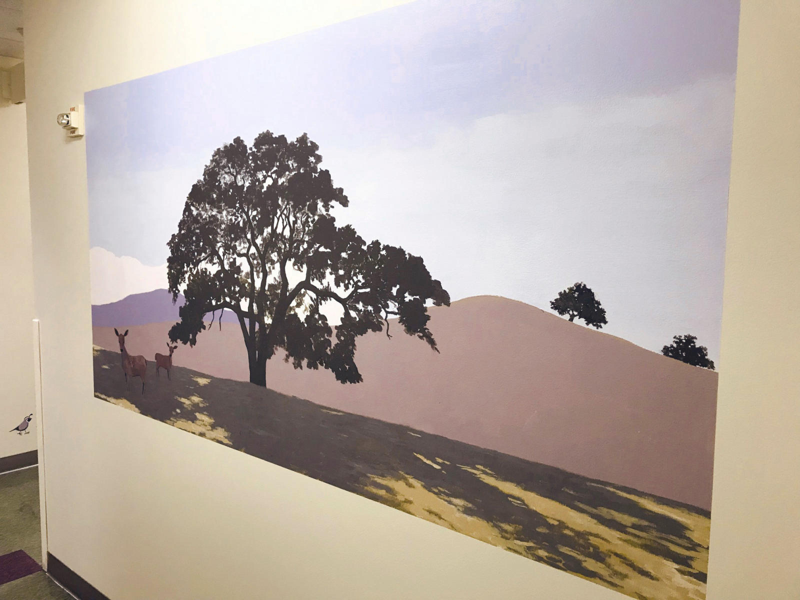 Kaiser Santa Clara Pediatric Oncology entryway mural, 11x 9ft : murals : children's murals, landscape murals | Scott Willis Murals | Bay Area | San Francisco | San Jose | Oakland  | Peninsula