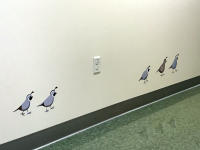 Kaiser Pediatric Oncology, 10 x 2ft