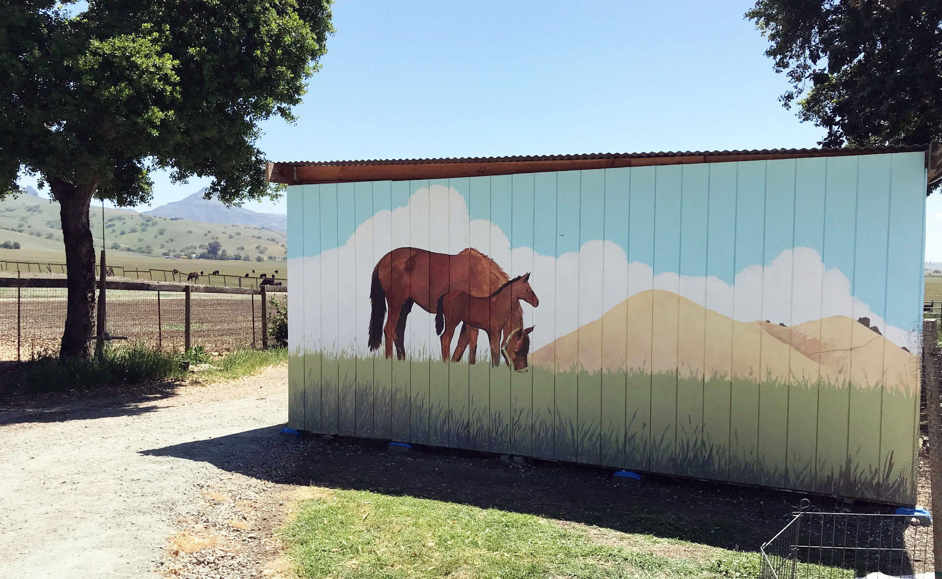 Hollister exterior mural, 20x8ft : murals : children's murals, landscape murals | Scott Willis Murals | Bay Area | San Francisco | San Jose | Oakland  | Peninsula