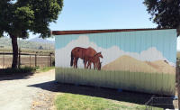 Hollister exterior mural, 20x8ft