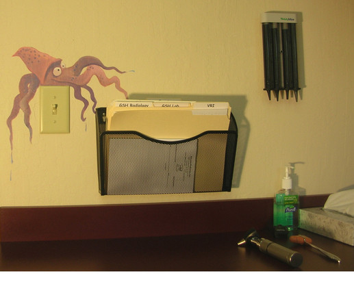 PIRATE ROOM squid : themed rooms : children's murals, landscape murals | Scott Willis Murals | Bay Area | San Francisco | San Jose | Oakland  | Peninsula