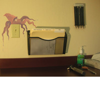 PIRATE ROOM squid