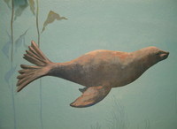 MONTEREY BAY ROOM detail