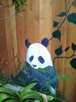 detail of panda on redwood fence, Russian Hill
